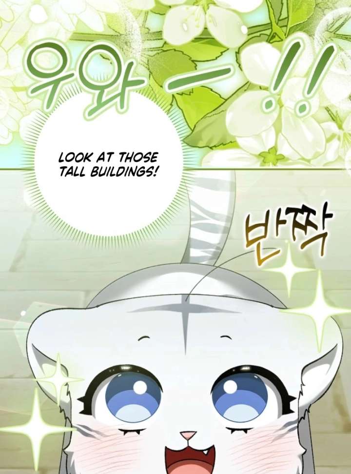 The White Tiger Princess is Not in Danger Chapter 17 448 042