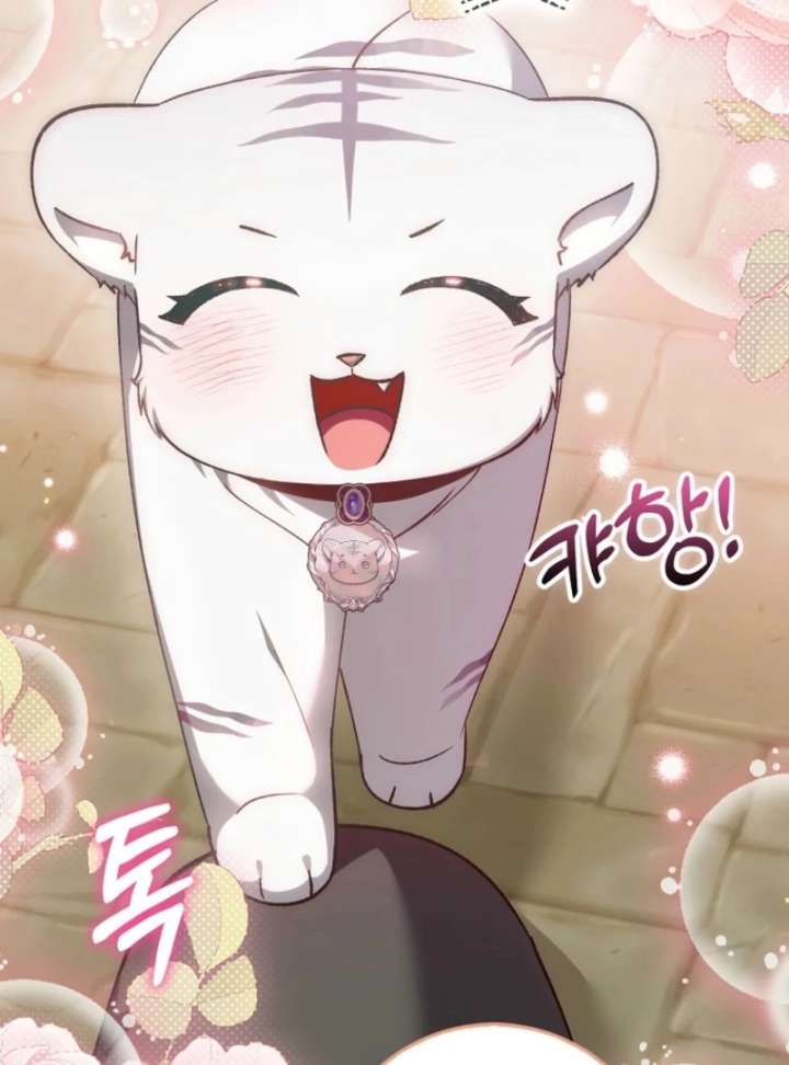 The White Tiger Princess is Not in Danger Chapter 17 502 096