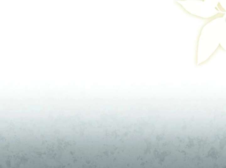 The White Tiger Princess is Not in Danger Chapter 17 524 118