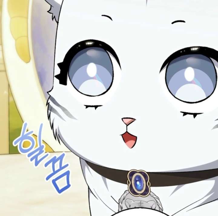 The White Tiger Princess is Not in Danger Chapter 19 462 008