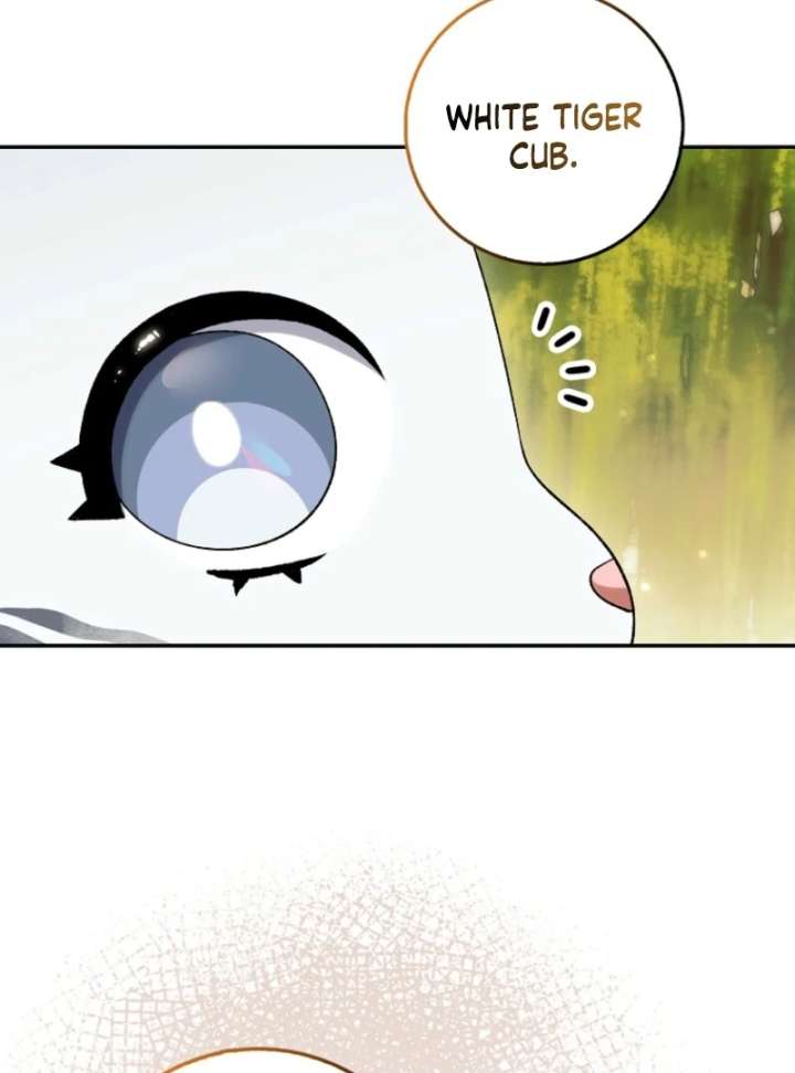 The White Tiger Princess is Not in Danger Chapter 19 466 012