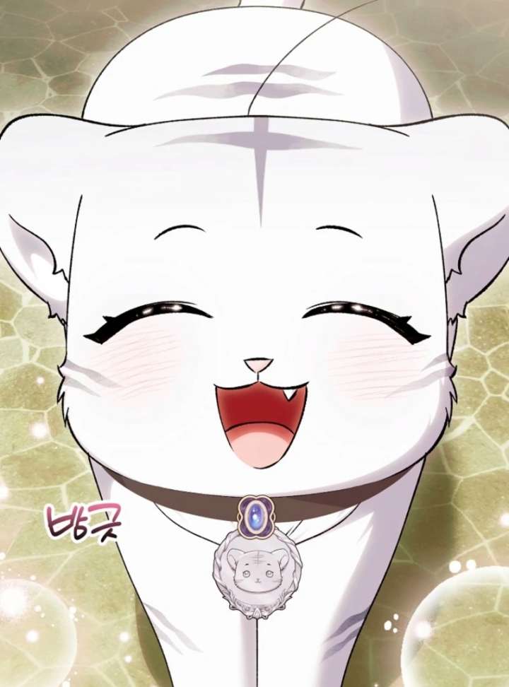 The White Tiger Princess is Not in Danger Chapter 19 502 048