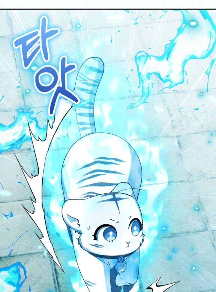 The White Tiger Princess is Not in Danger Chapter 19 541 087