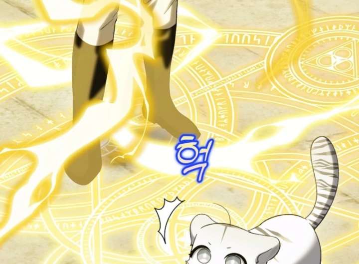 The White Tiger Princess is Not in Danger Chapter 19 554 100