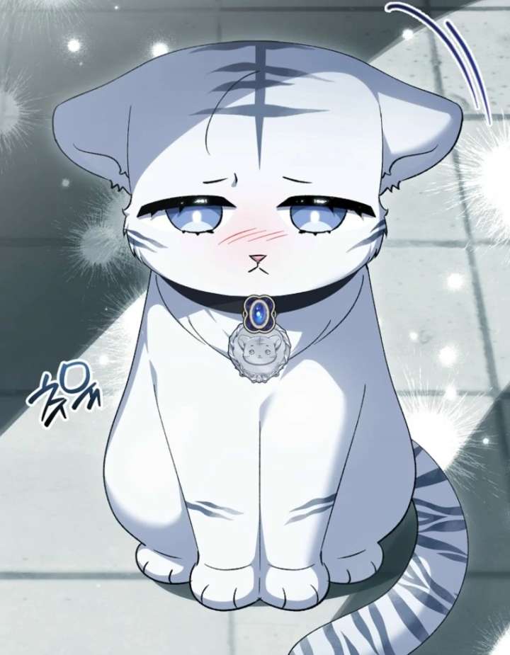 The White Tiger Princess is Not in Danger Chapter 19 572 118