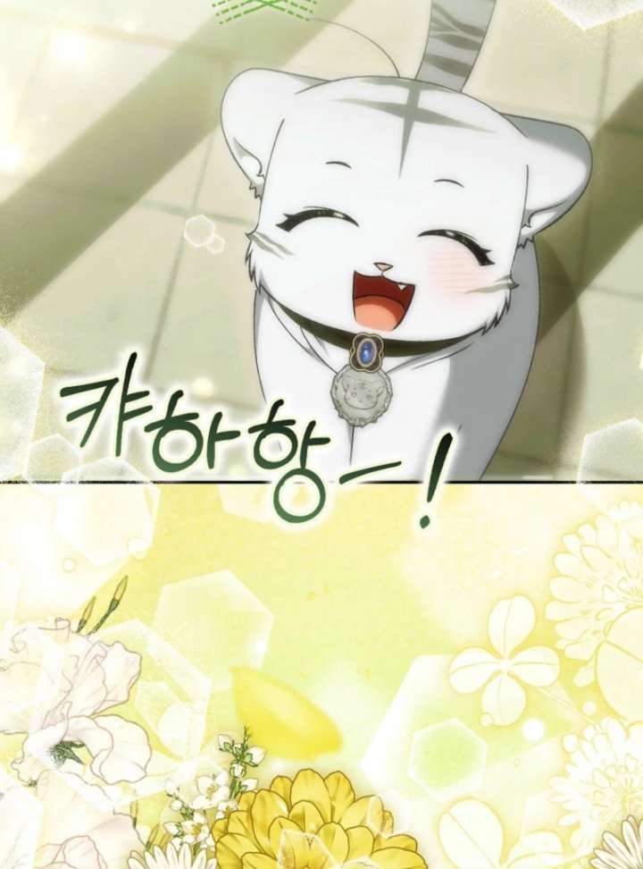 The White Tiger Princess is Not in Danger Chapter 19 589 135