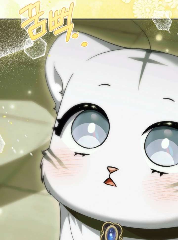 The White Tiger Princess is Not in Danger Chapter 19 593 139