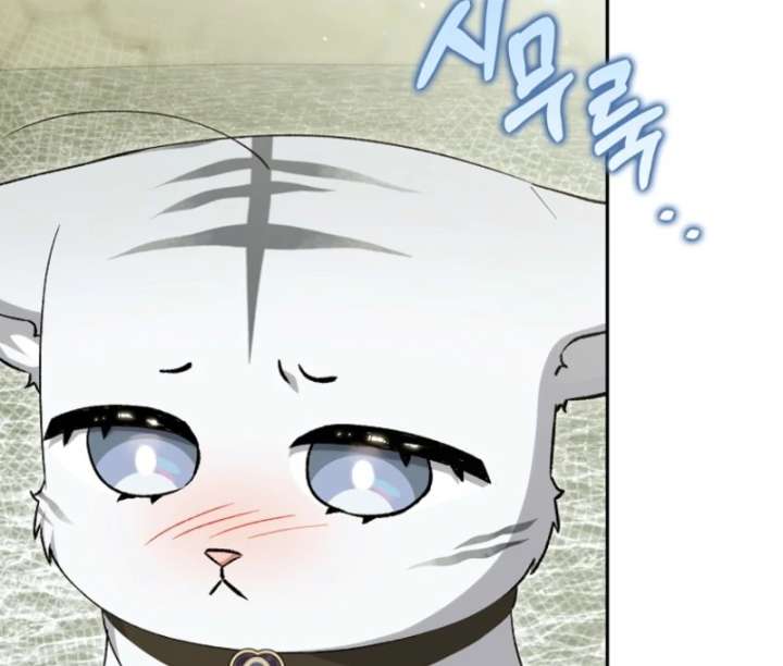 The White Tiger Princess is Not in Danger Chapter 20 466 009