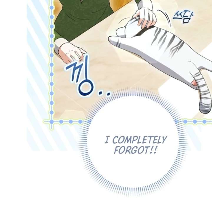 The White Tiger Princess is Not in Danger Chapter 8 523 015