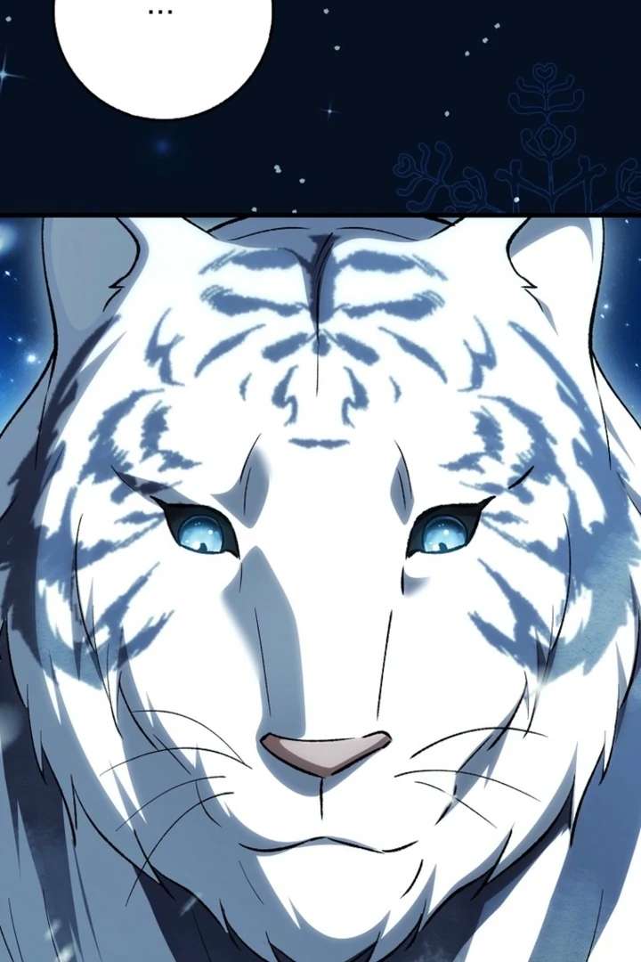 The White Tiger Princess is Not in Danger Chapter 9 517 093