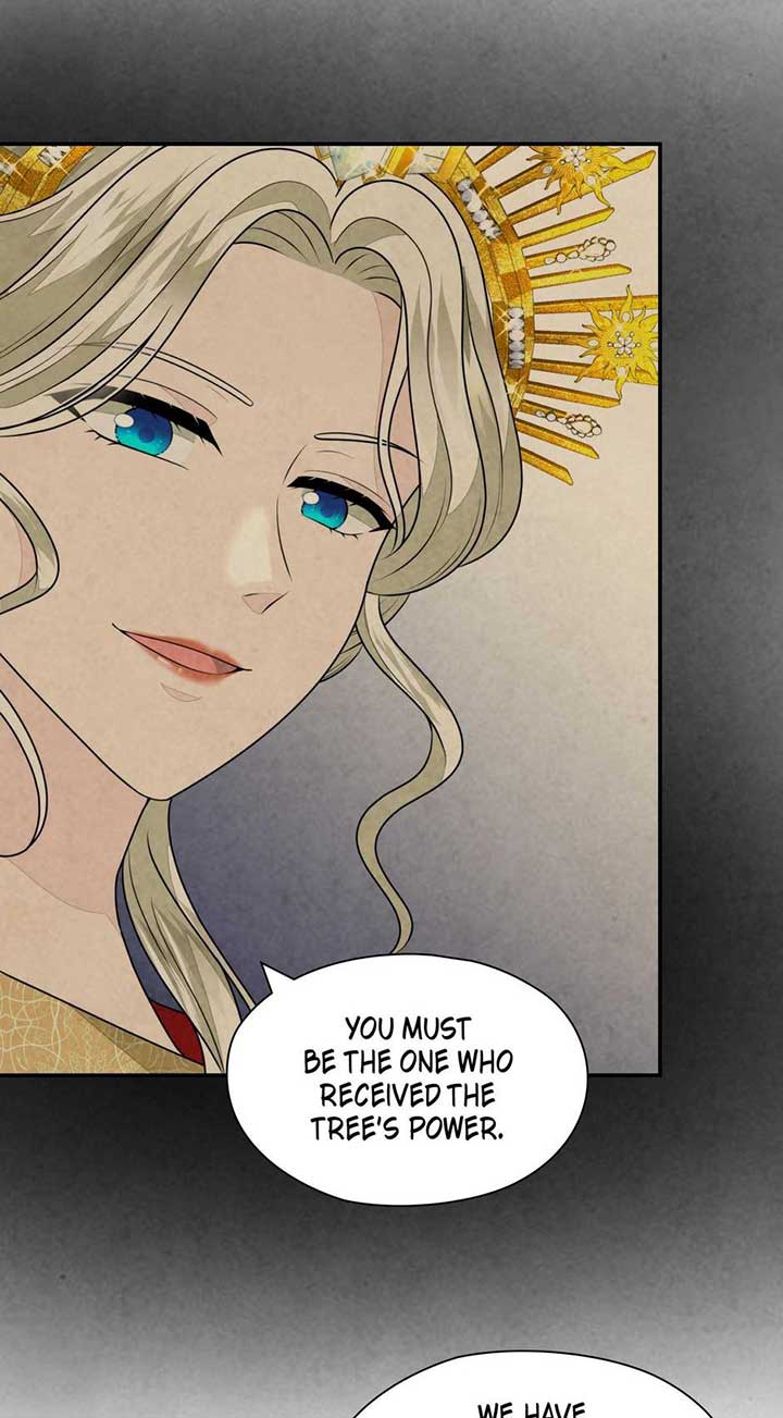 The Wizard and The Tree Chapter 41 241 ch 41 6