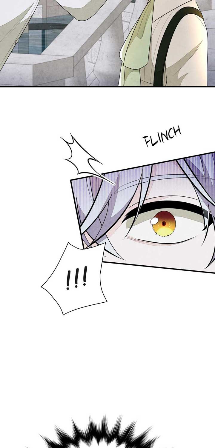 The Wizard and The Tree Chapter 44 239 07