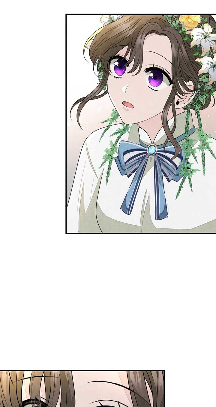 The Wizard and The Tree Chapter 44 298 66