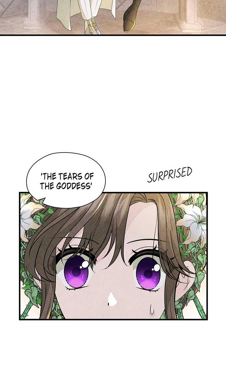 The Wizard and The Tree Chapter 45 301 57