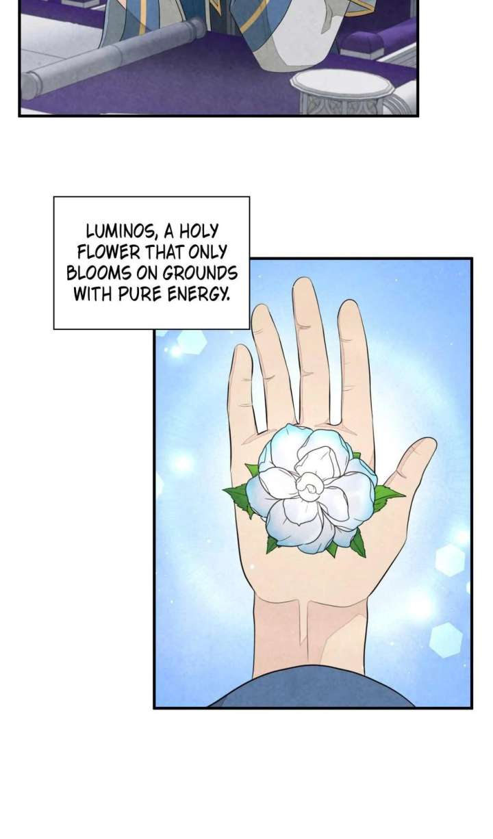 The Wizard and The Tree Chapter 55 220 03