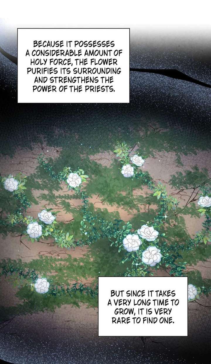 The Wizard and The Tree Chapter 55 221 04