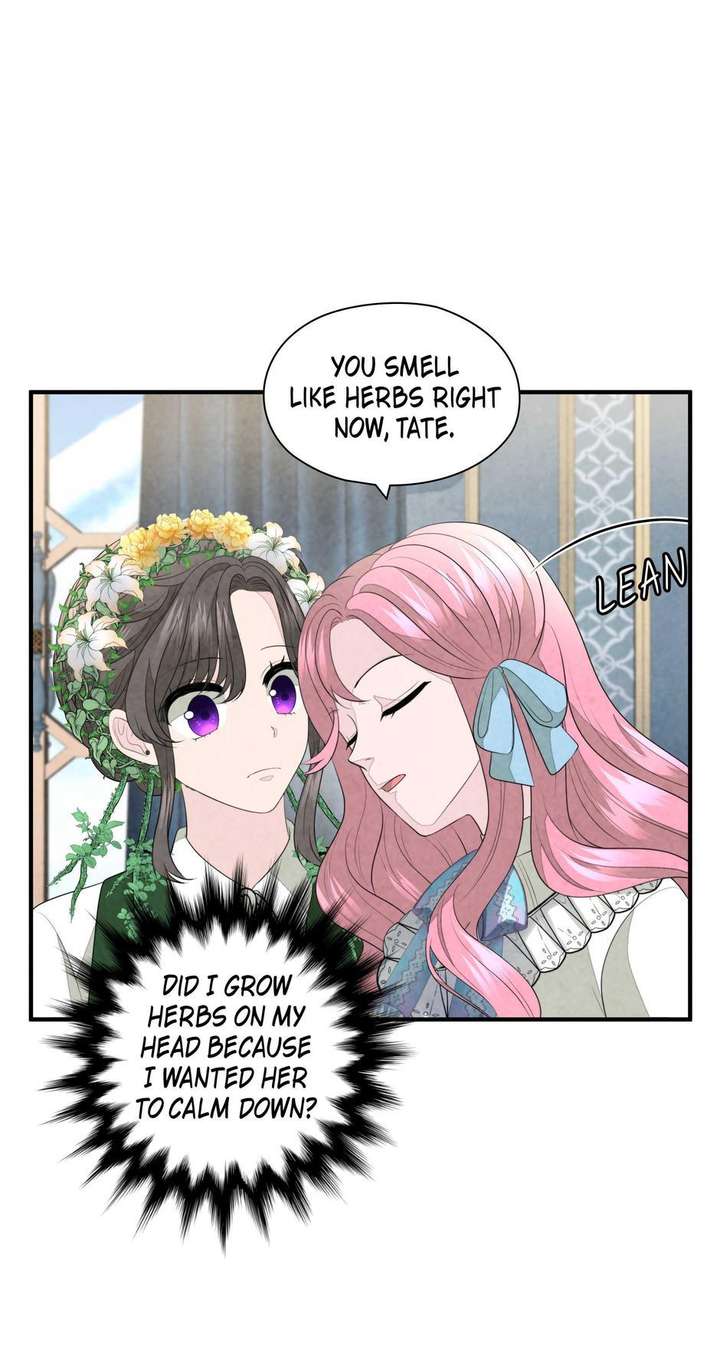 The Wizard and The Tree Chapter 56 242 28