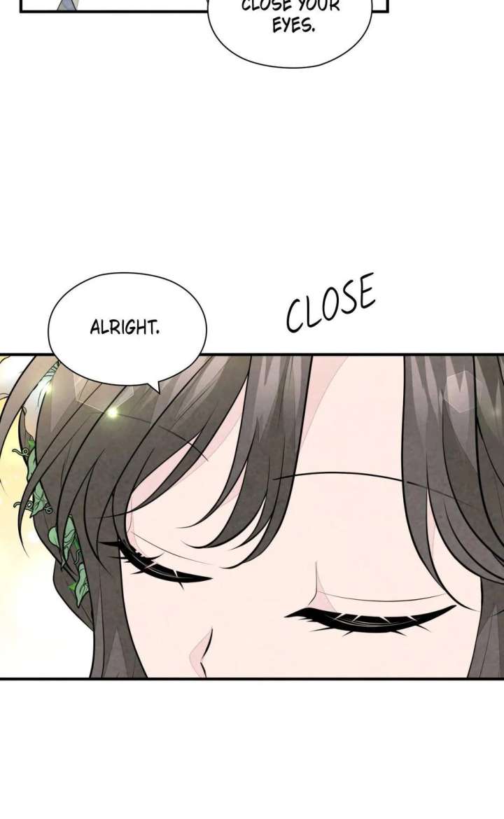 The Wizard and The Tree Chapter 56 253 39