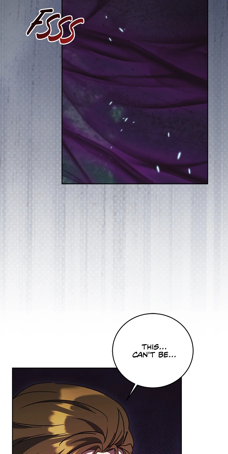 The Young Lady Who Broke Her Engagement Is Only Obsessed With the Ending Chapter 52 297 ch 52 20