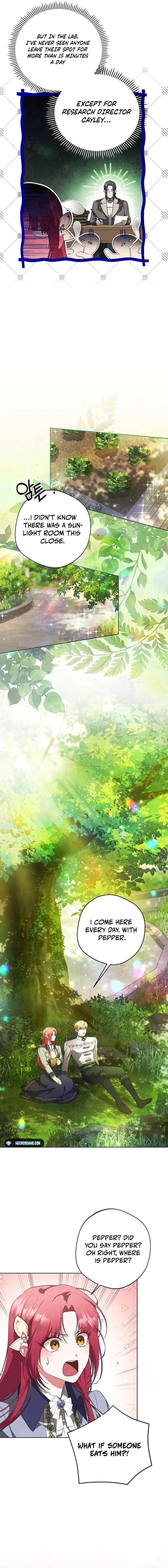 There Are No Benefits for the Possessor Chapter 11 60 05