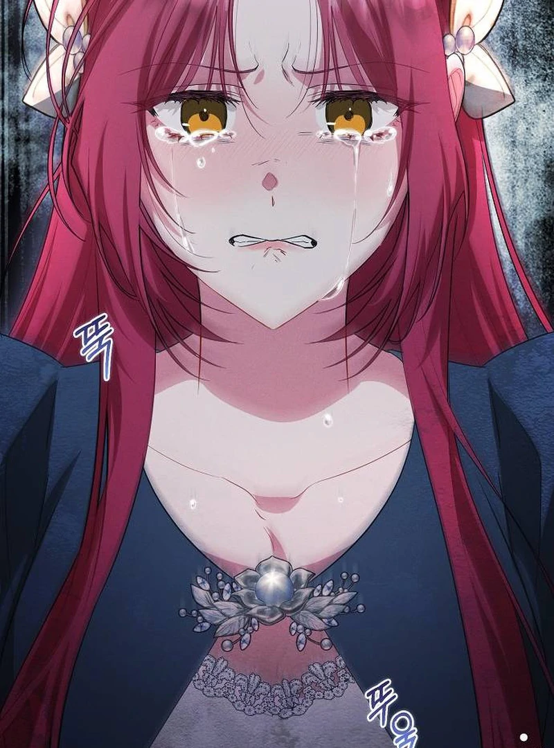 There Are No Benefits for the Possessor Chapter 30 478 087