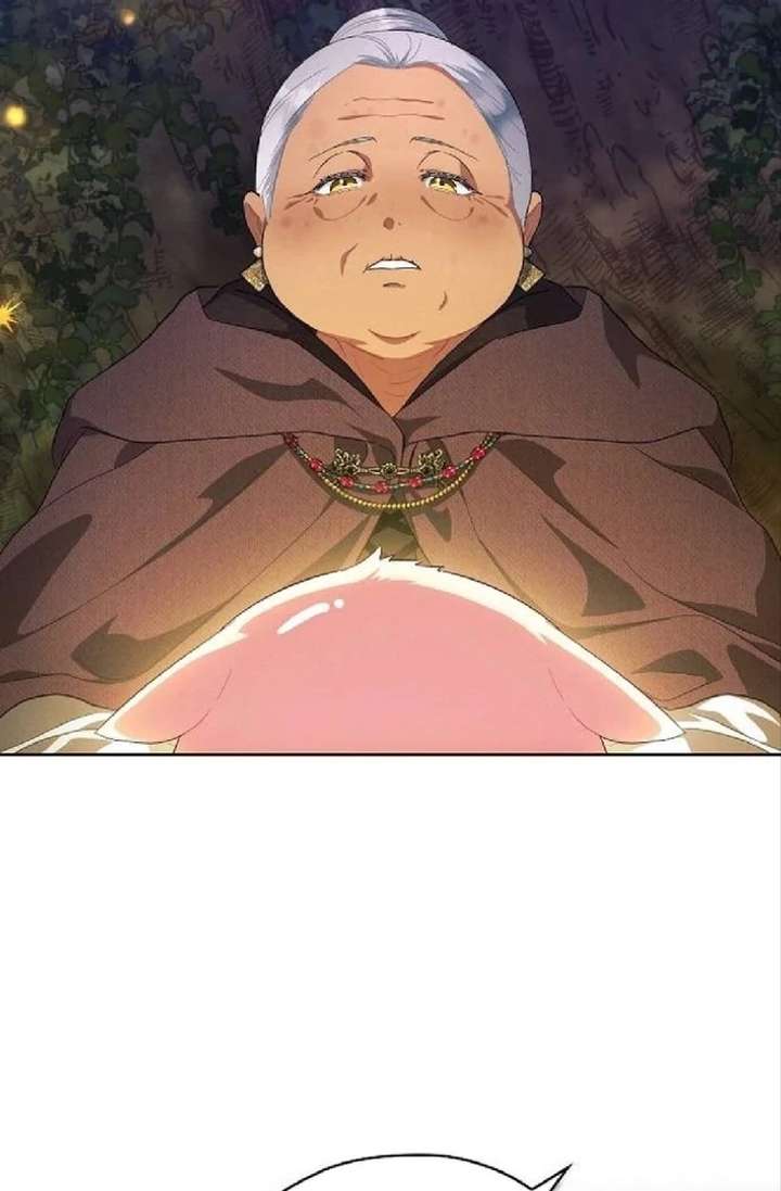 There Are No Benefits for the Possessor Chapter 36 366 83