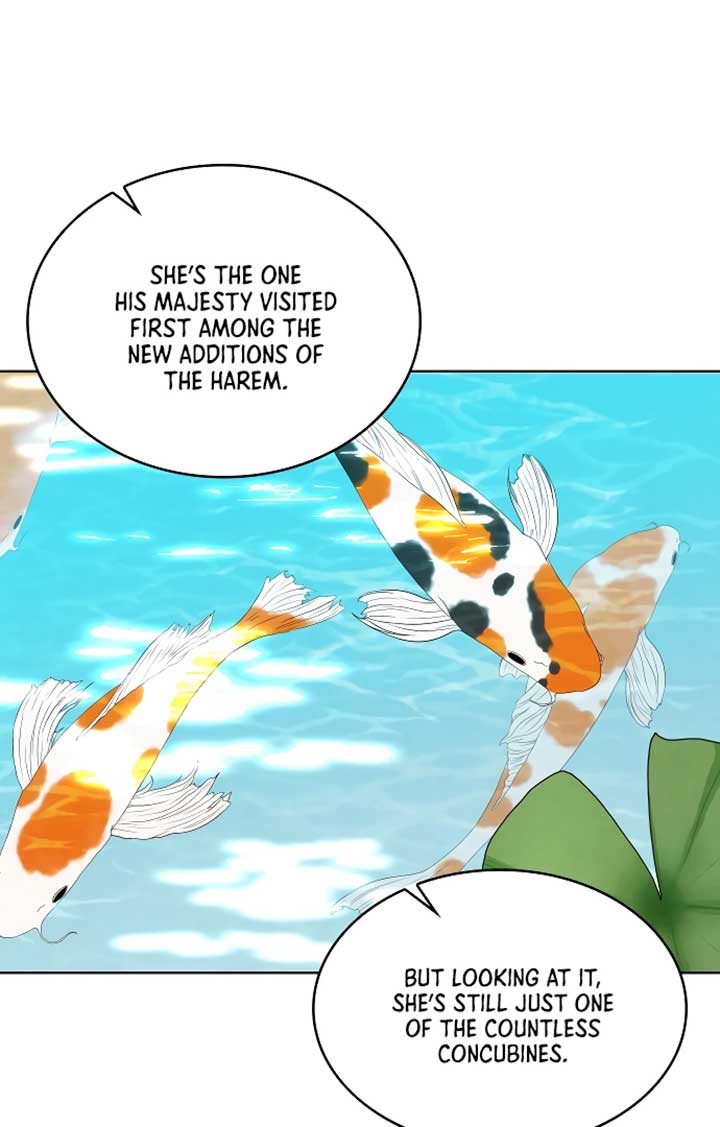 There’s 49 Left, Master! Chapter 42 313 69