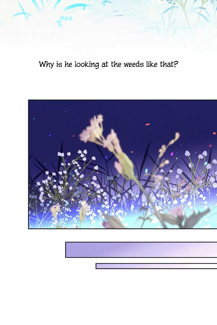 There’s 49 Left, Master! Chapter 8 241 15