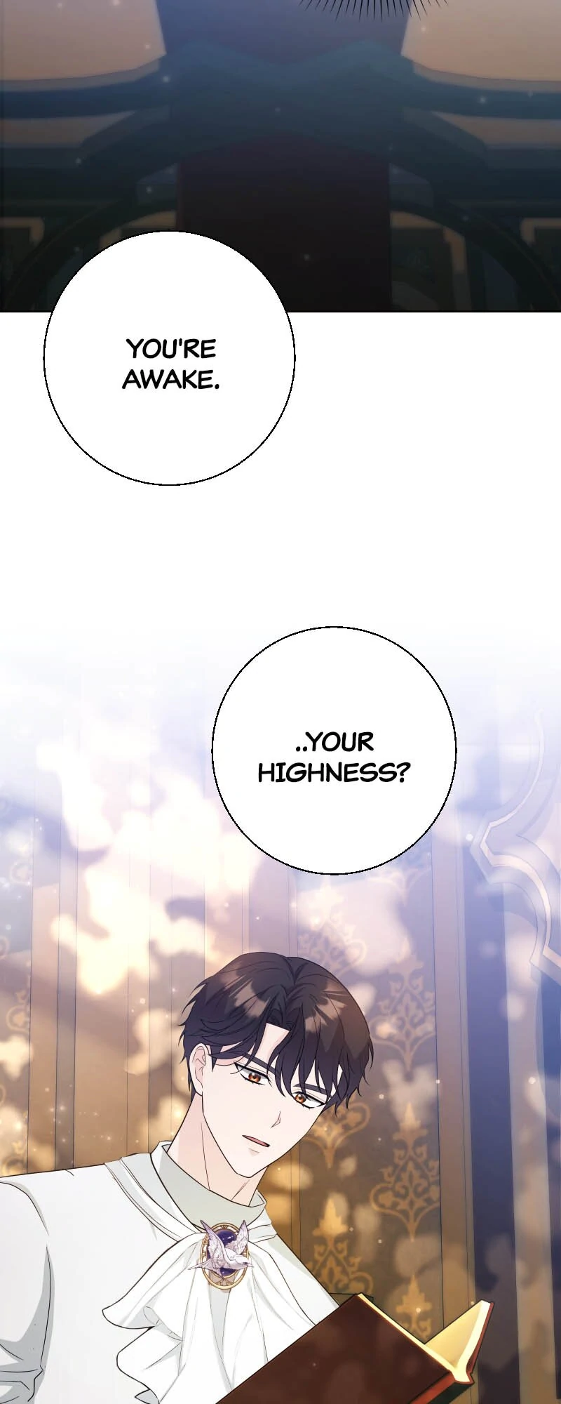 There’s a Witch in the Emperor’s Bedroom Chapter 19 238 06