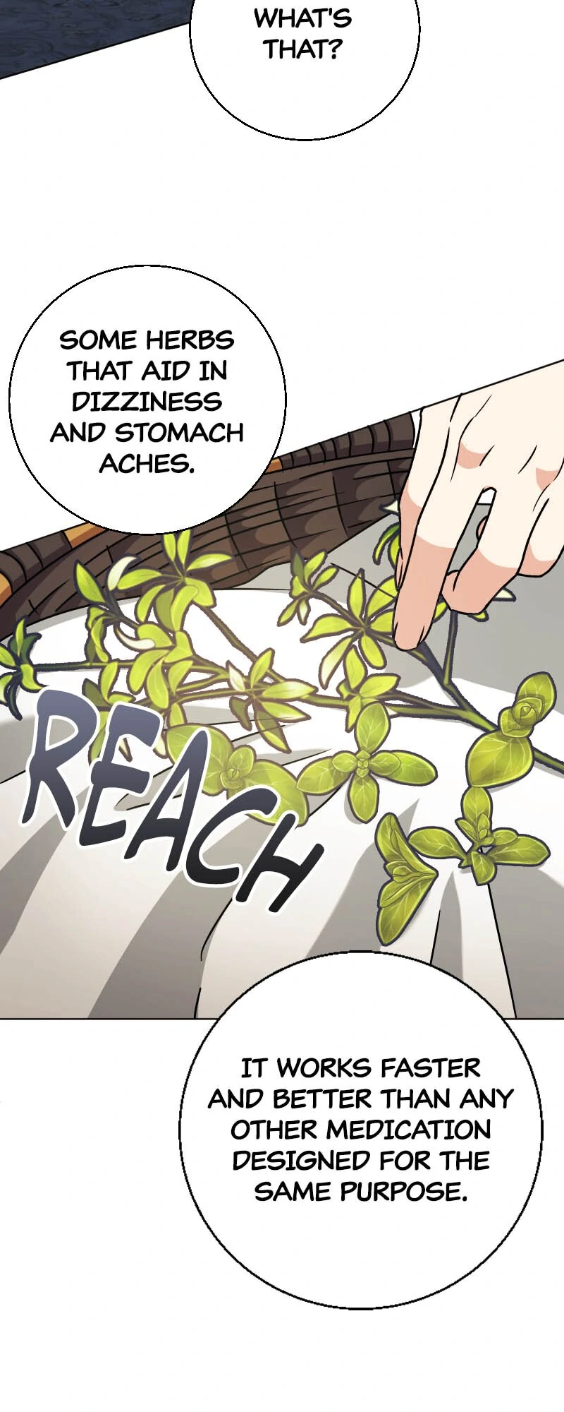 There’s a Witch in the Emperor’s Bedroom Chapter 25 312 41