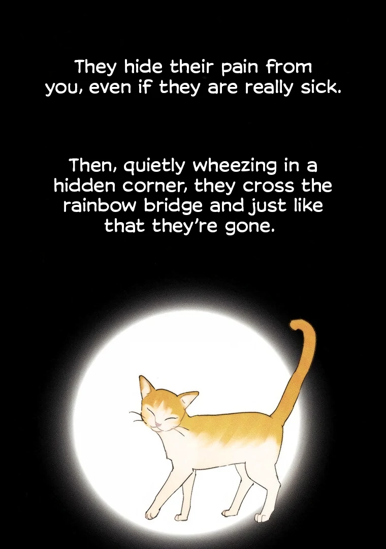 They Say Goblins Don’t Know How to Cry Chapter 17 283 ch 17 30