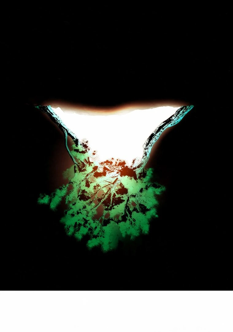 They Say Goblins Don’t Know How to Cry Chapter 2 346 ch 2 54