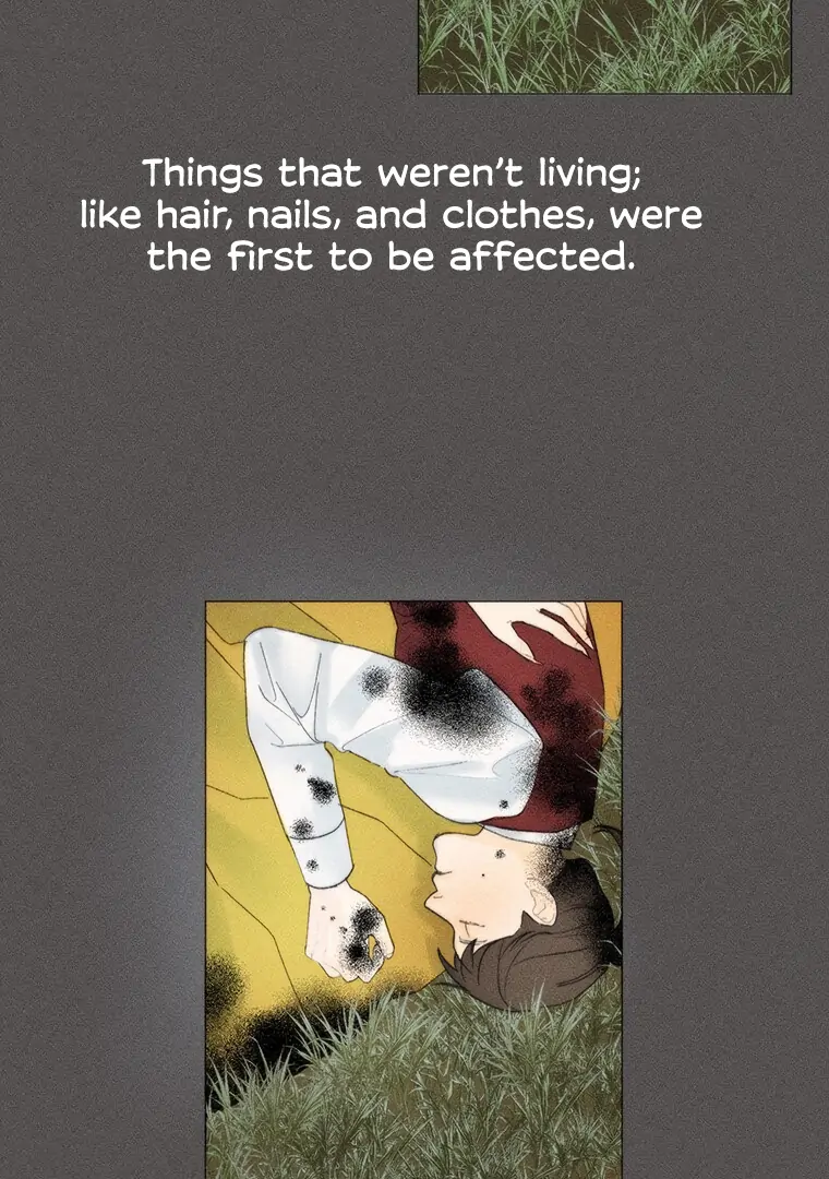 They Say Goblins Don’t Know How to Cry Chapter 22 312 ch 22 8