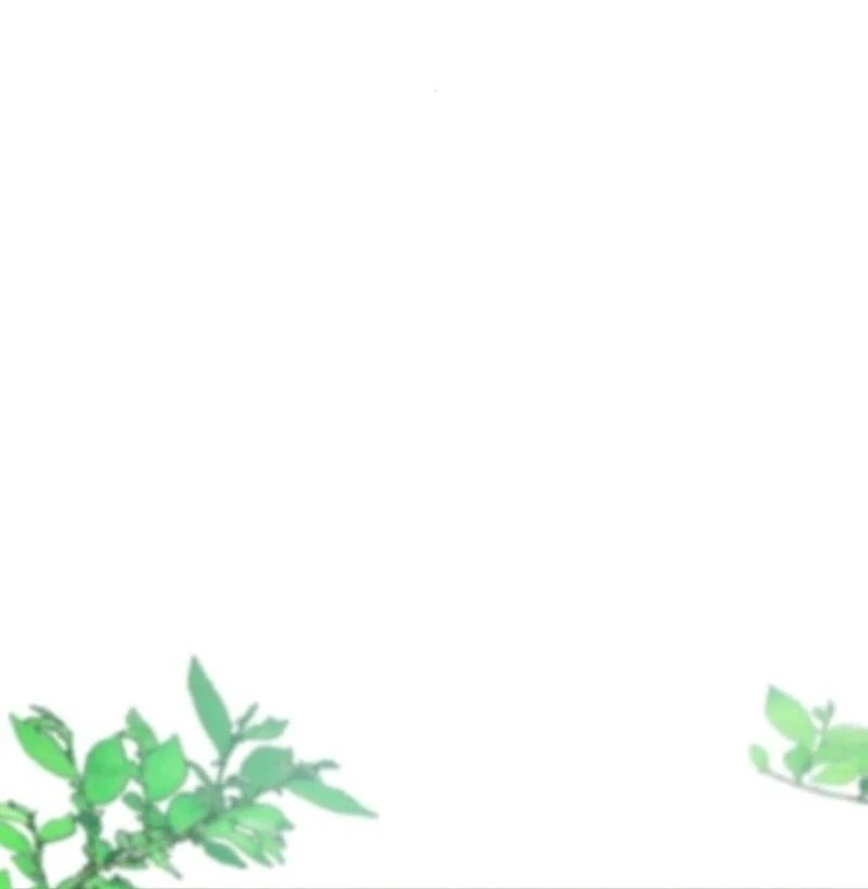 Things I Learned After Death Chapter 35 488 085