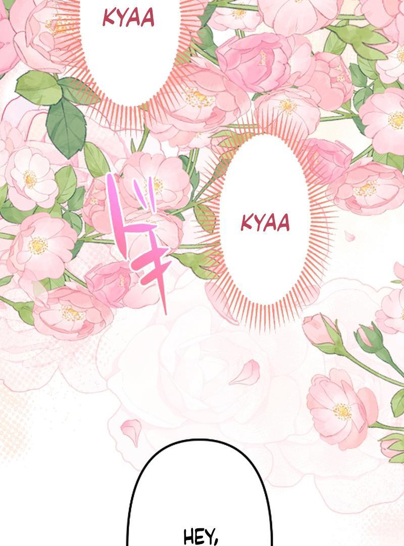 Things to Enjoy with the Death God in My Life’s Last Year Chapter 8 396 059