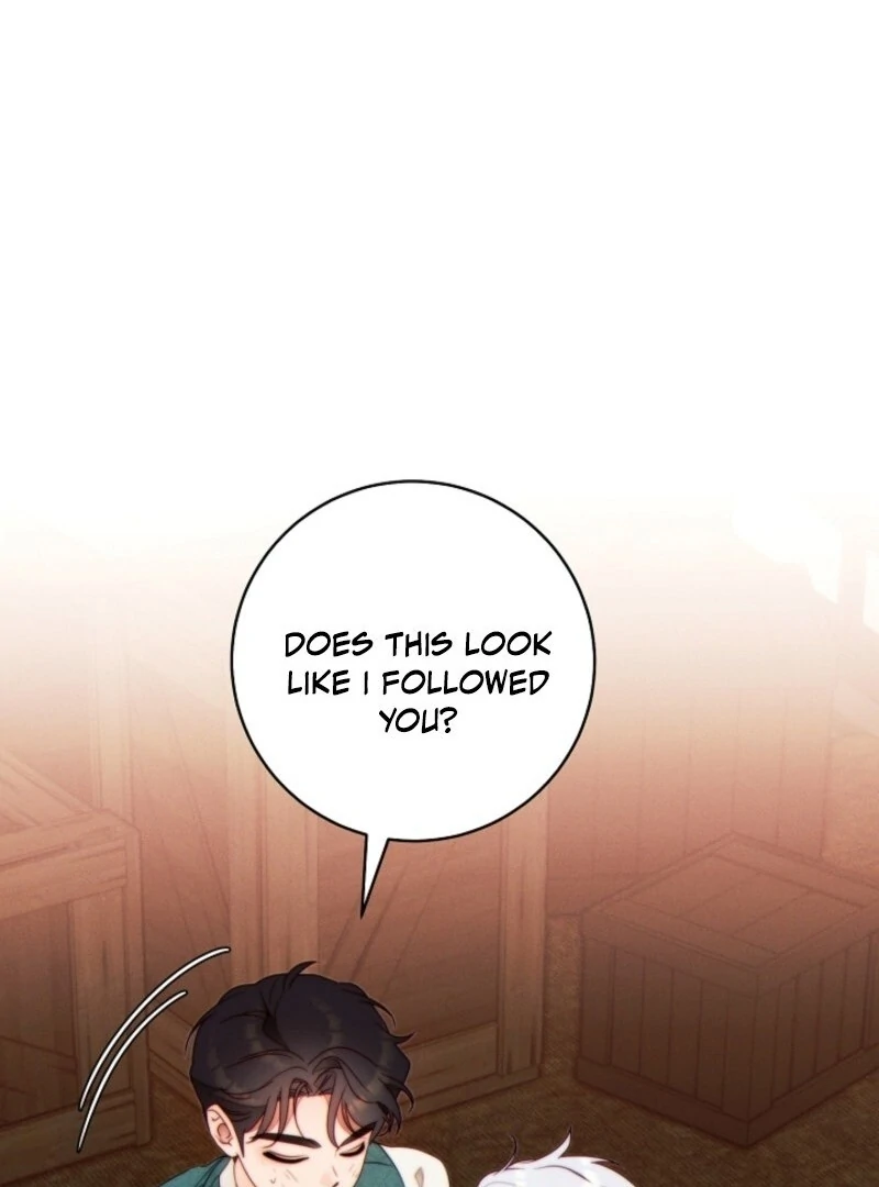 This Marriage Will Surely Succeed Chapter 41 581 121