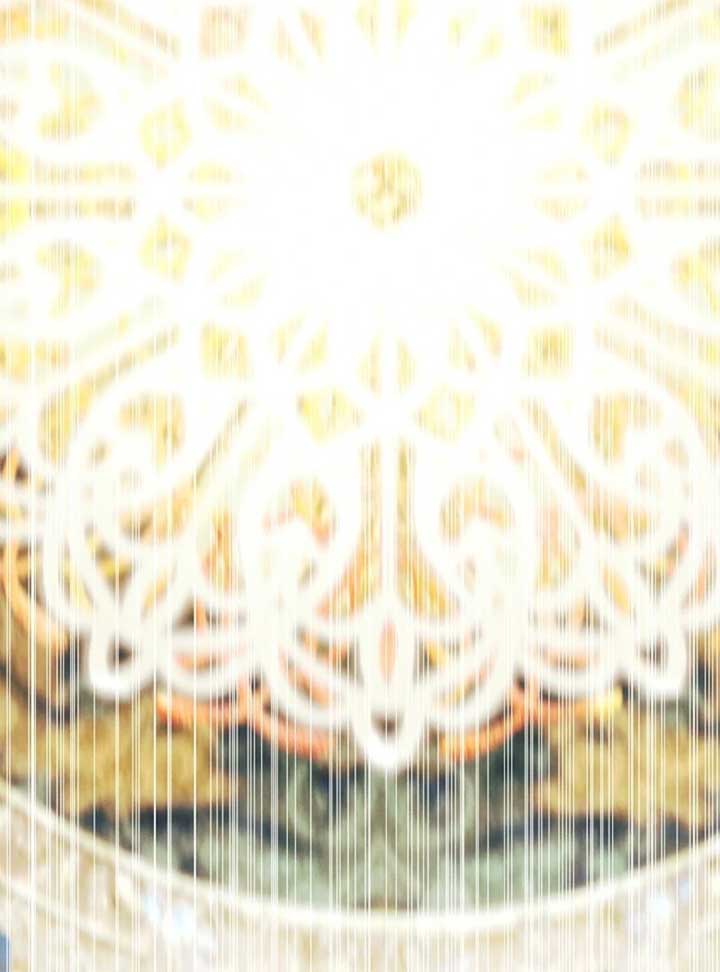 This Marriage Will Surely Succeed Chapter 44 573 122