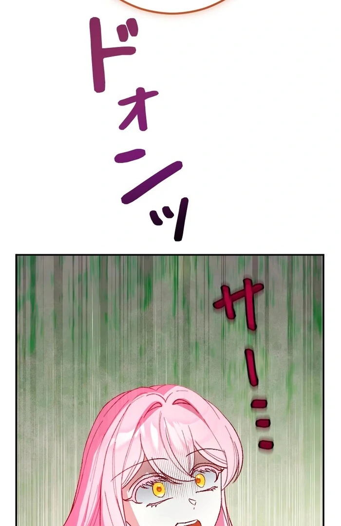 This Reincarnated Countess Is Trying to Escape From Her Prince Chapter 16 519 ch 16 113