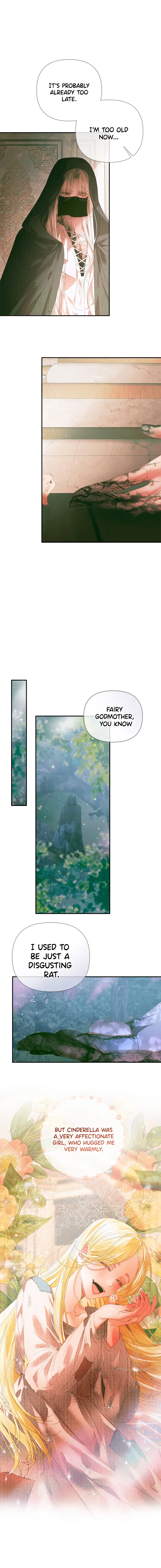 This wild mouse has taken Cinderella Chapter 0 60 08