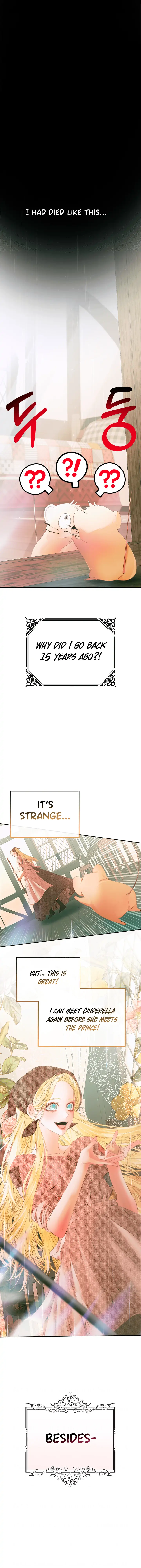 This wild mouse has taken Cinderella Chapter 0 62 10