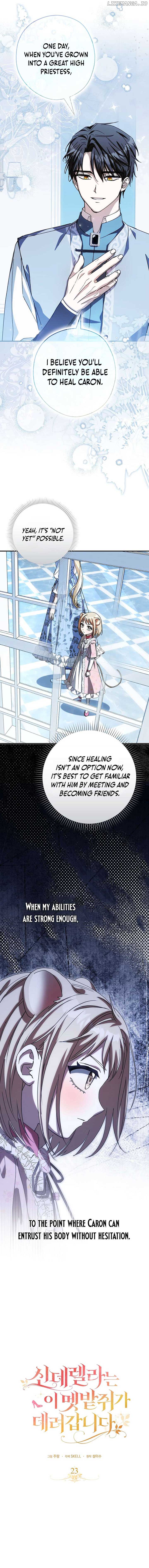 This wild mouse has taken Cinderella Chapter 23 56 04