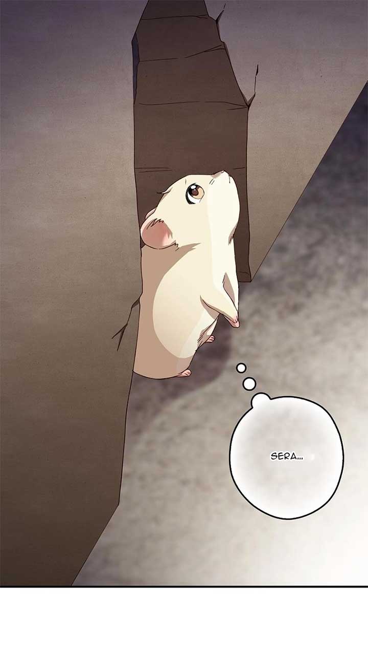 This wild mouse has taken Cinderella Chapter 4 356 ch 4 43