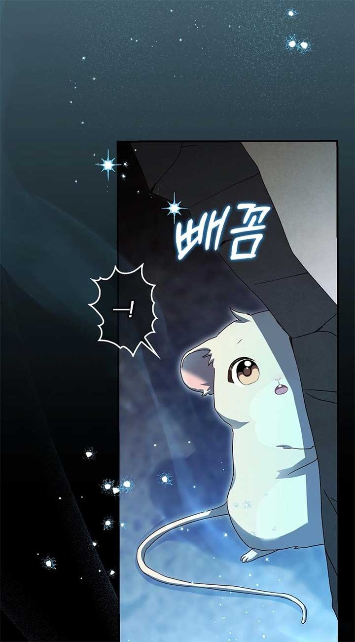 This wild mouse has taken Cinderella Chapter 4 362 ch 4 49