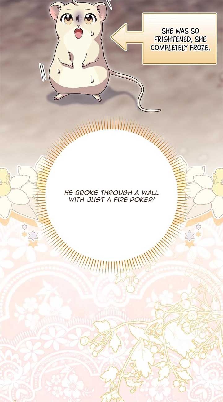 This wild mouse has taken Cinderella Chapter 4 386 ch 4 73