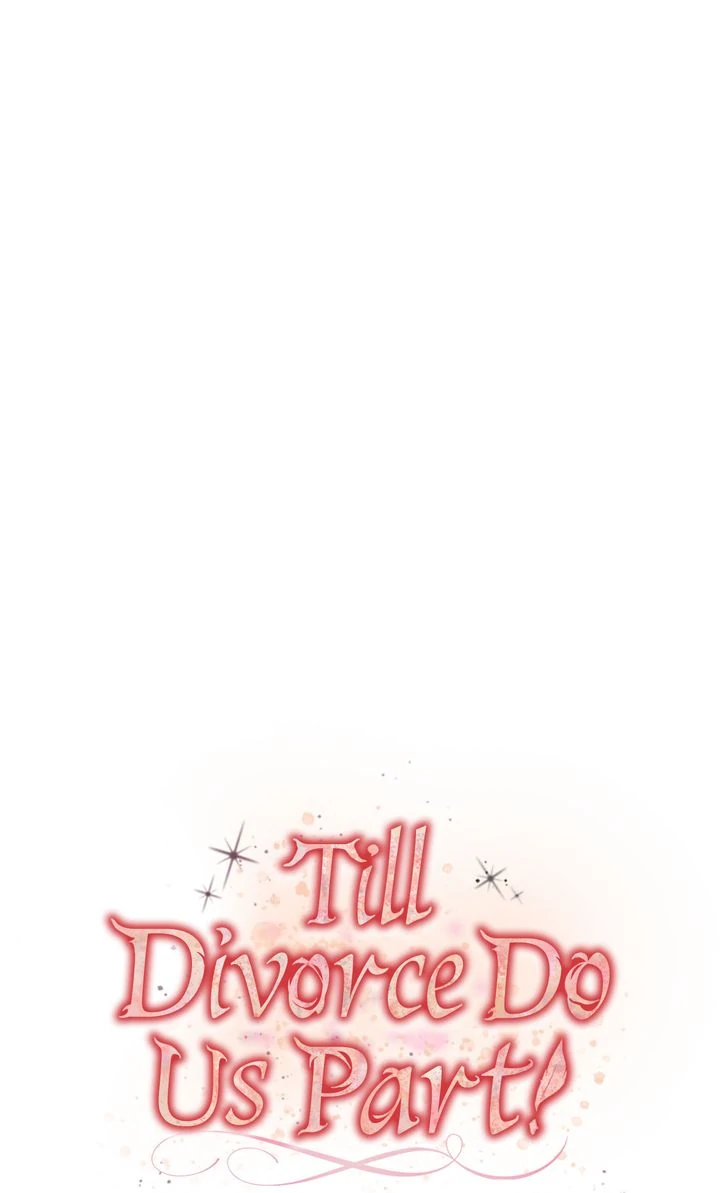 Till Divorce Do Us Part! Chapter 102 295 18