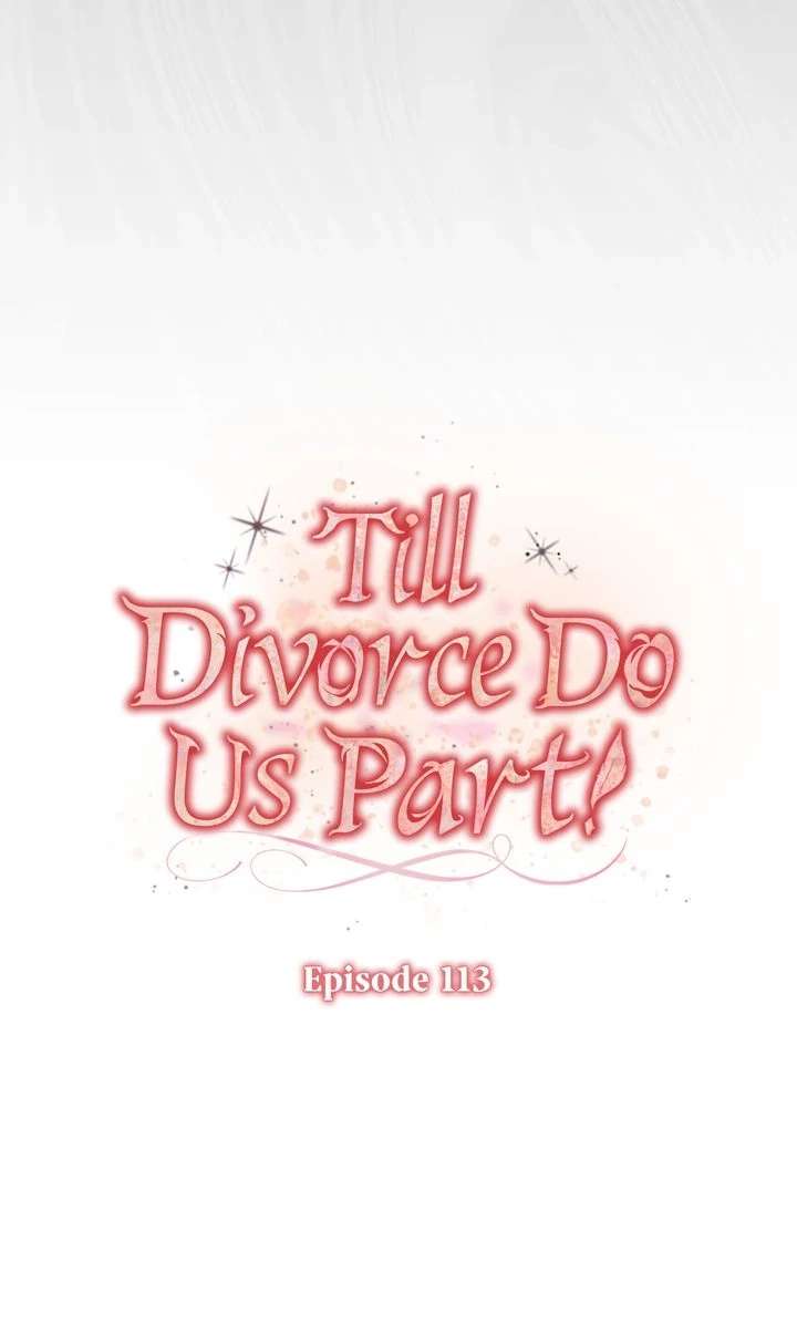 Till Divorce Do Us Part! Chapter 113 311 16