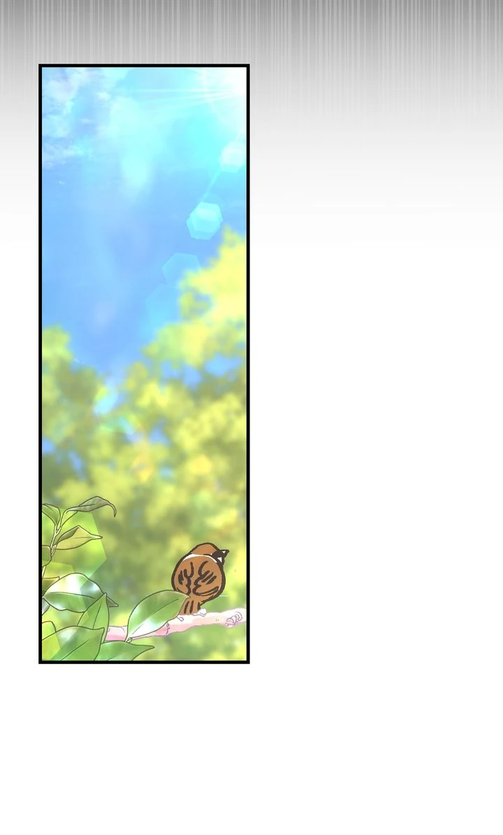 Till Divorce Do Us Part! Chapter 86 336 ch 86 71