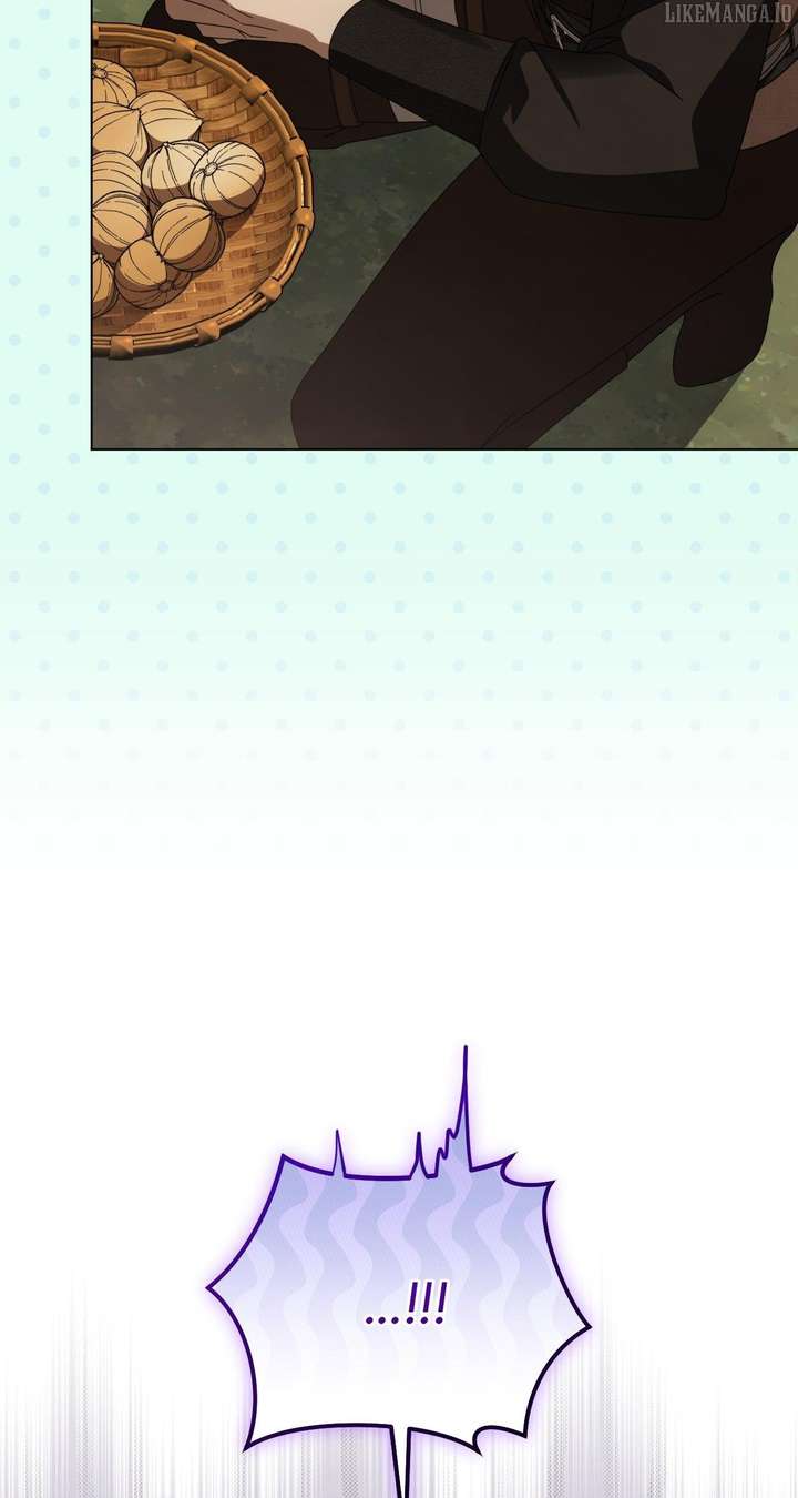 To the Witch Who Forgot the Birds Chapter 37 372 056