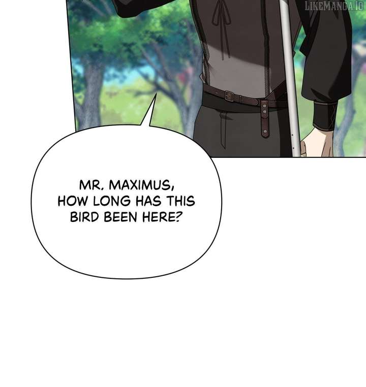 To the Witch Who Forgot the Birds Chapter 38 329 013