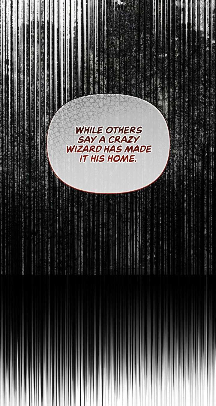 To the Witch Who Forgot the Birds Chapter 42 401 061